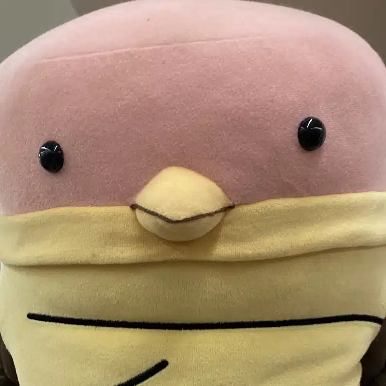 shitajiki1