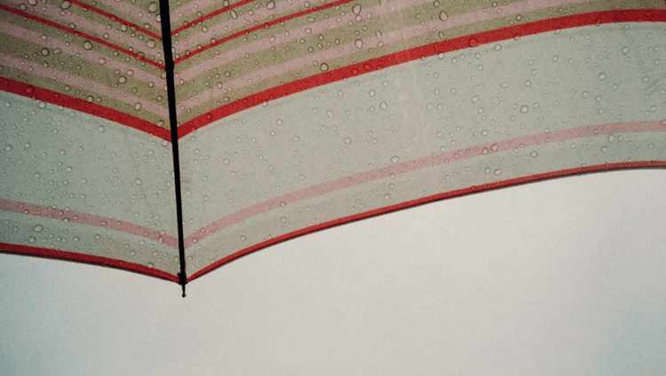 去年お気に入りのアサガオ絵柄の傘を利尻島の民宿に忘れてきた。セカンド傘は色褪せて錆も目立つ。新しく買っても良いけど、まだアサガオ傘に未練。あー未練たらたら。今年は北海道に行けなさそうだから、尚更気持ちがたらたらする。たらたら。