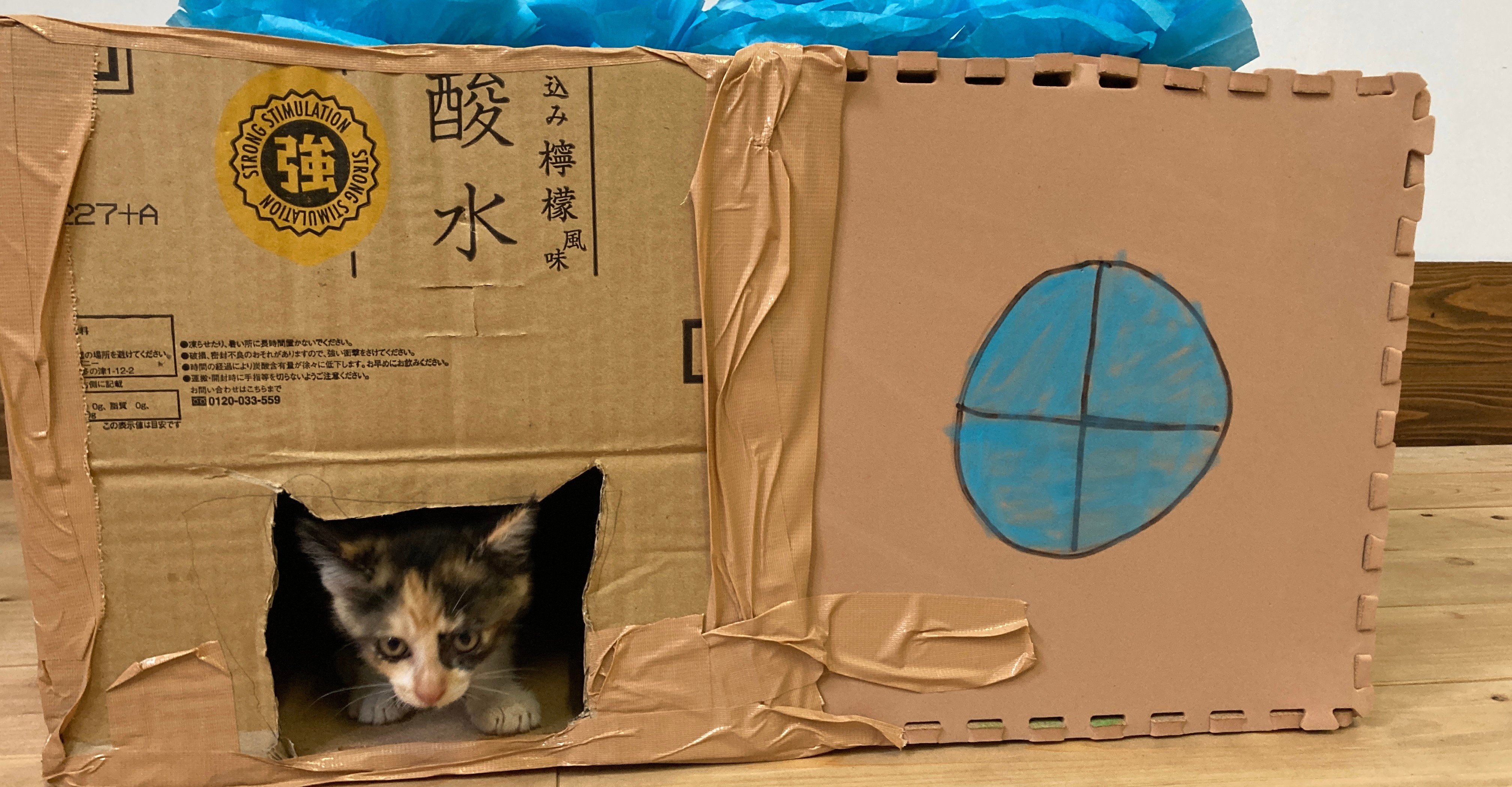 母の手紙と私たちの覚悟 ここのね 自由な学校 Note