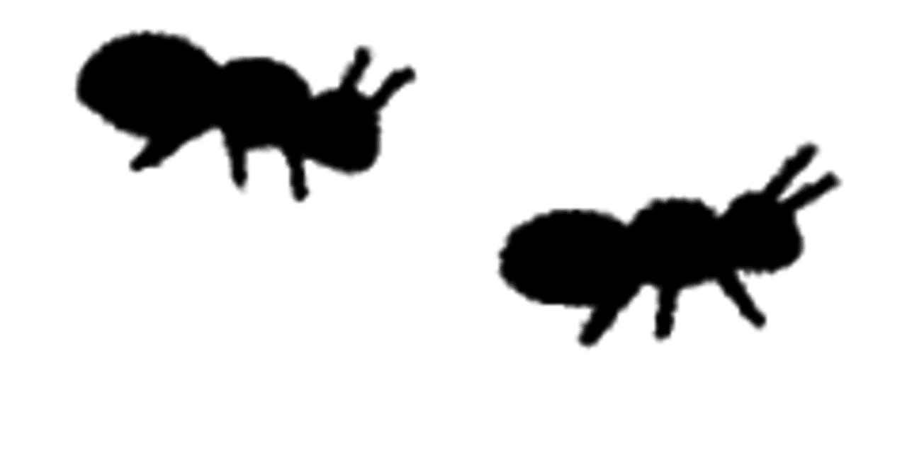 今日のまーし 44 アリンコ まーしの漫談 Note