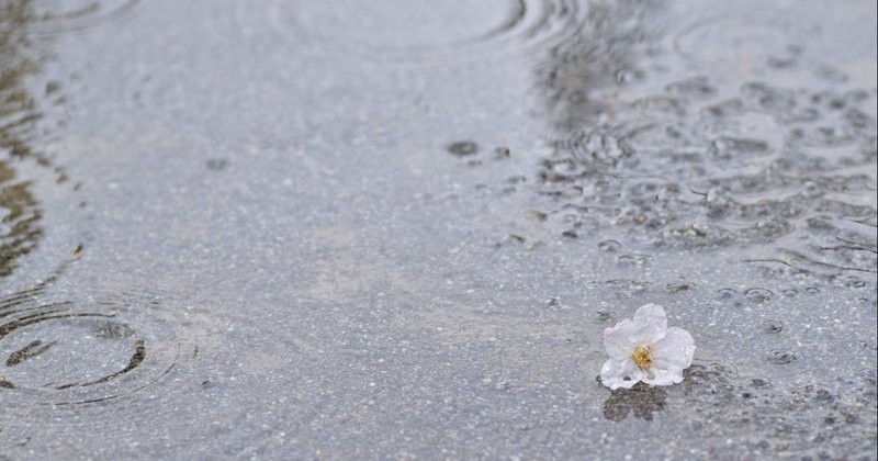 雨音