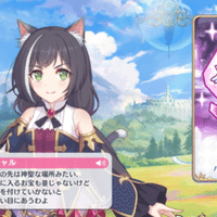プリコネの基本ステータスについてのざっくりした説明 初心者向け マオ Note プリコネの基本ステータスについてのざっくりした説明 初心者向け マオ Note