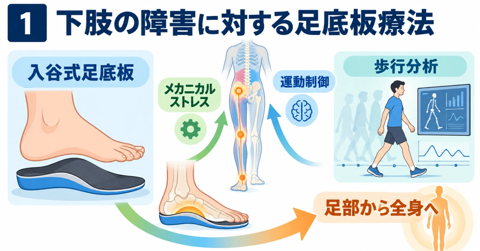 足底板療法を臨床に活かす｜入谷式足底板に学ぶ歩行分析・運動制御と