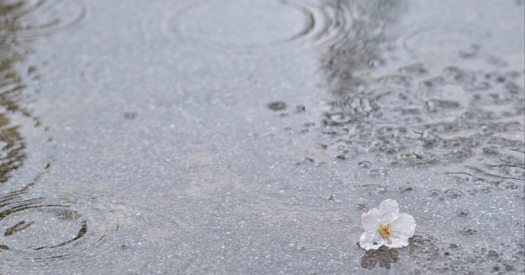 人間不信が原因で人生が変わった 職場 恋愛 いじめにより壊された心 江夏 岳 Note