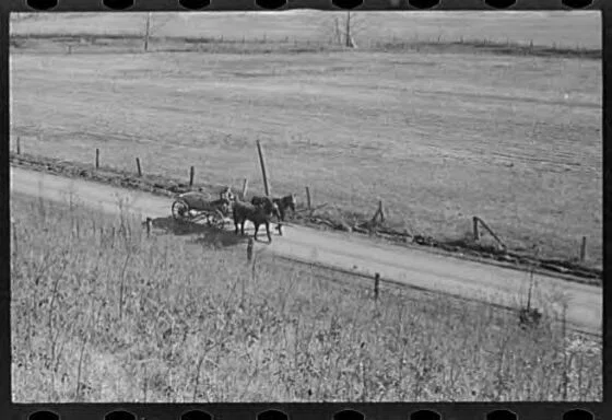 馬が荷車を引く昔の田舎道の風景。農業と運搬が一体だった時代の姿を示し、生産と流通を再設計する現代のモデルへの問いかけとなります。