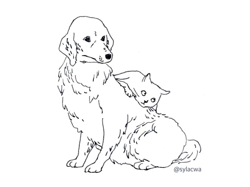 7月30日のゴールデンレトリーバー しらかわあずま Note