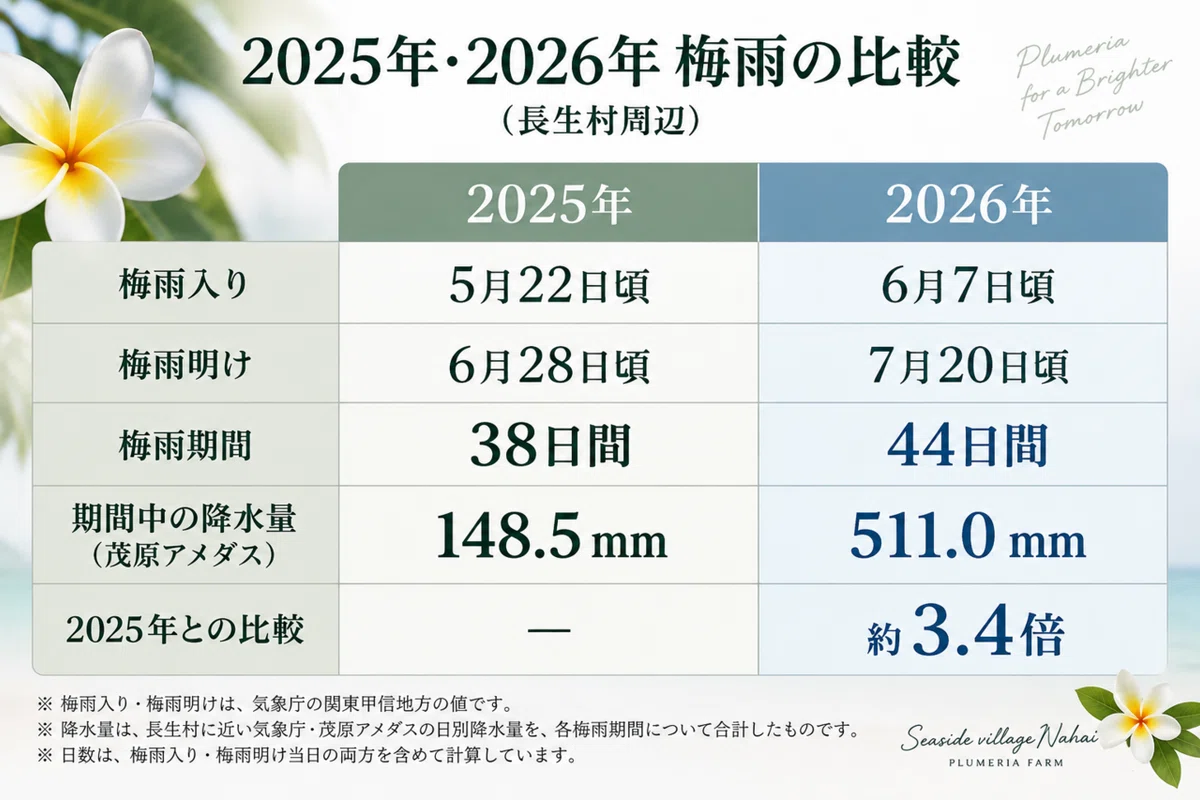 今年のPlumeriaは不調…2025年と2026年の夏を比較して見えてきたこと｜nahai