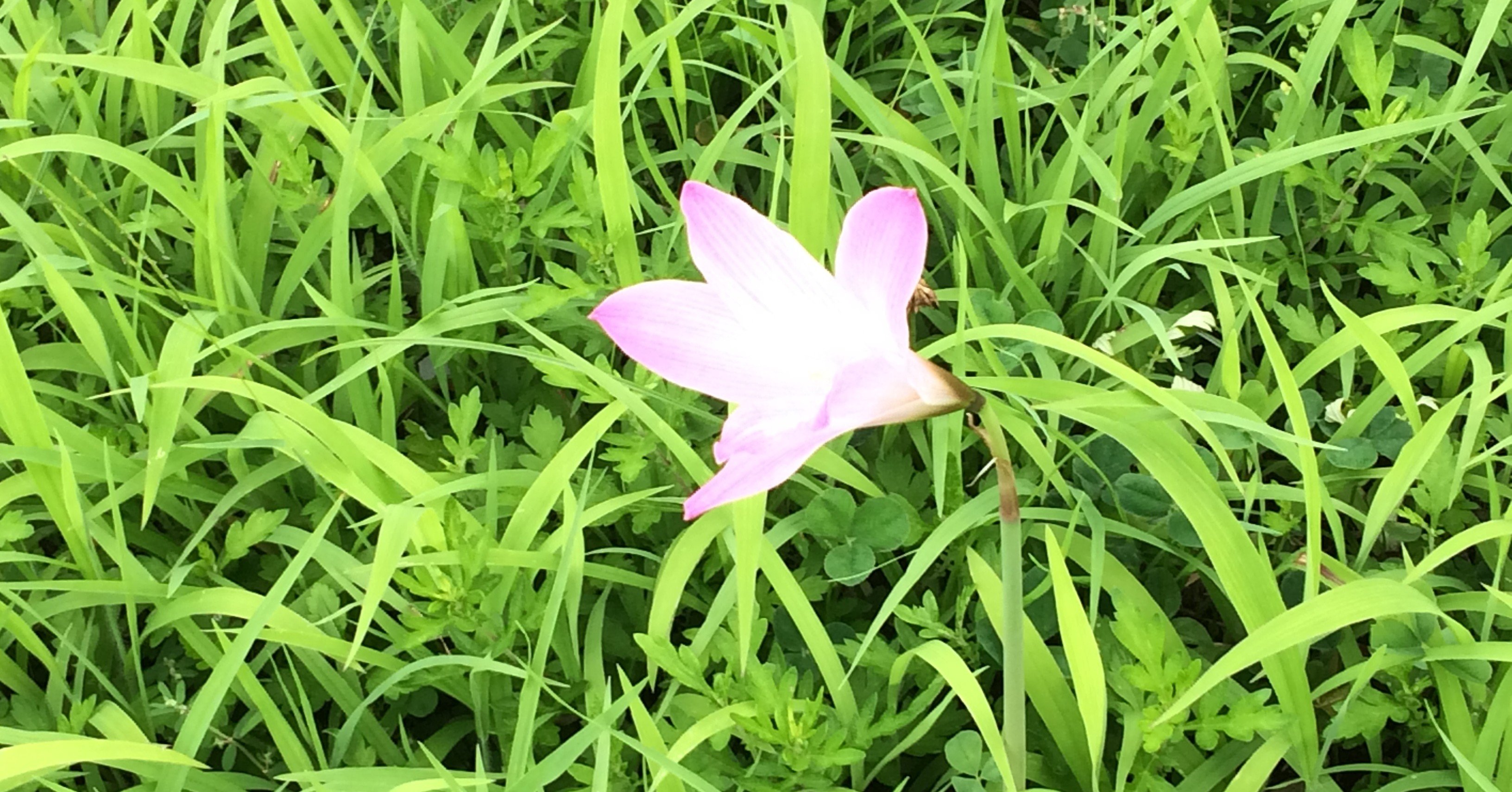 悪口言われる人 言われない人 Yumiko Note