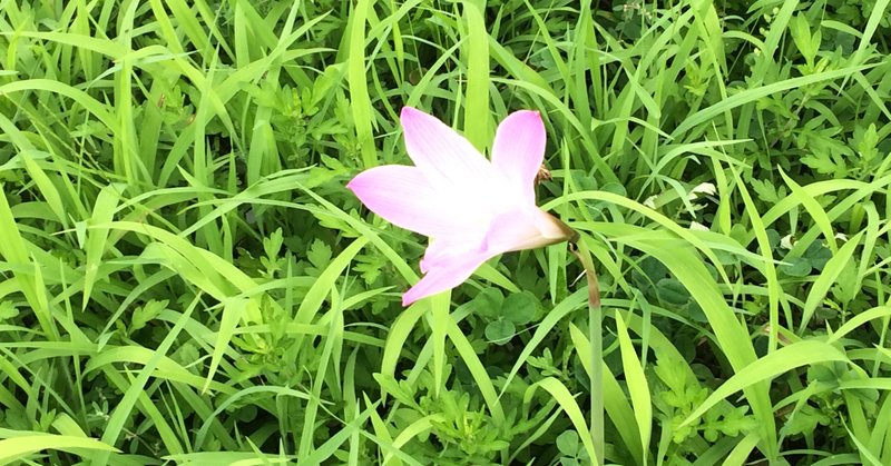 悪口言われる人 言われない人 yumiko note