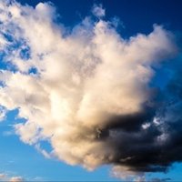 中途半端な優しさは時に人を甘やかす でも厳しい言葉は時に人を傷つける 自分の思い描いた様にならないことに腹を立てるな 伝わらないことを責め 出来なくしている仕組みを直せ 他人のスペックに期待しすぎるな Takuya Note
