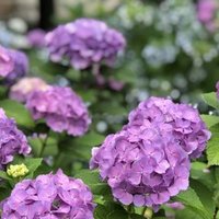 つい 声に出してしまう英語の名言 ほしのや まさる Note つい 声に出してしまう英語の名言 ほしのや まさる Note