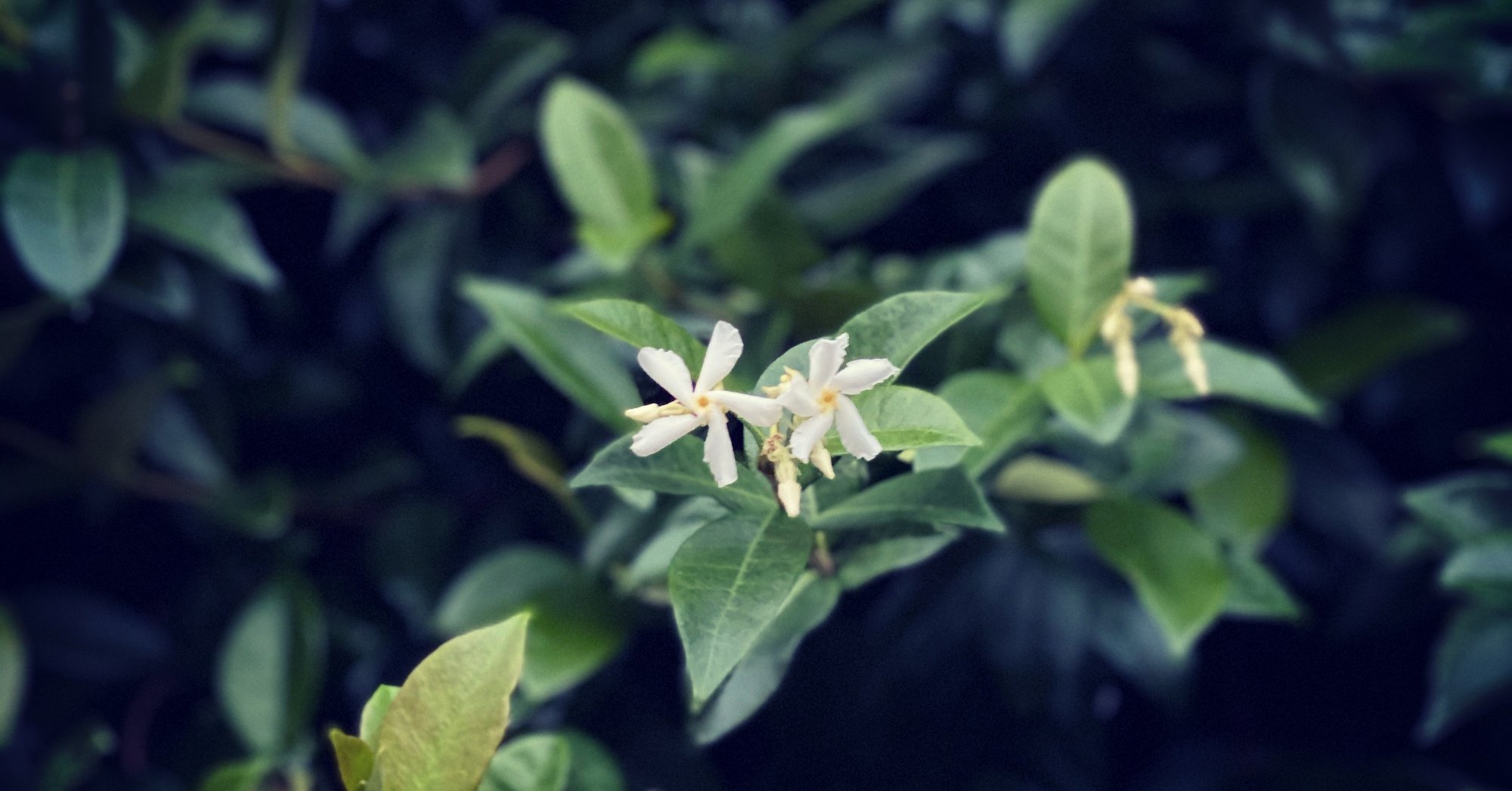 熟考すること Yuta Watanabe Note 熟考すること Yuta Watanabe Note