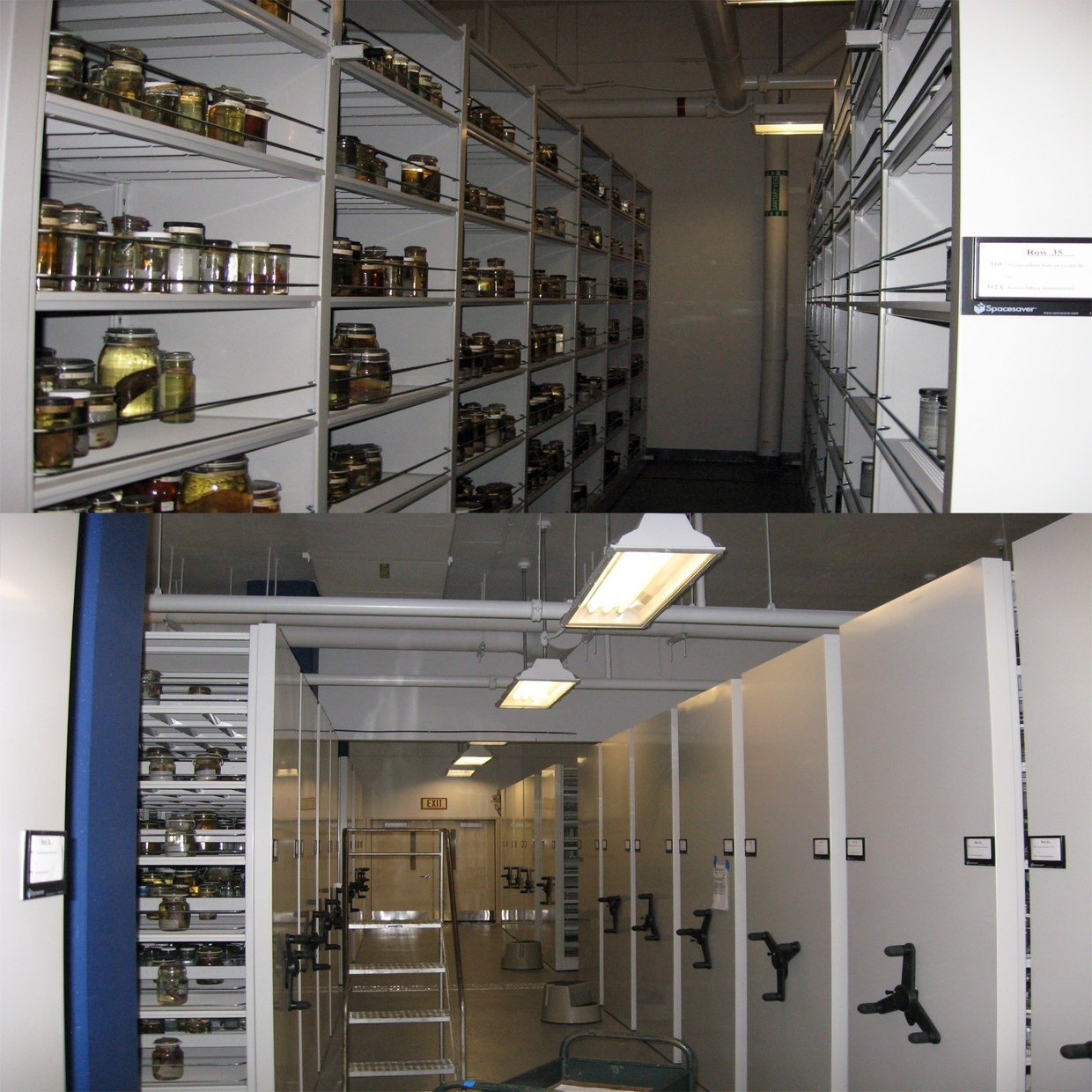 世界の自然史博物館 3 アメリカ国立自然史博物館 国立沖縄自然史博物館設立準備委員会沖縄部会 Note