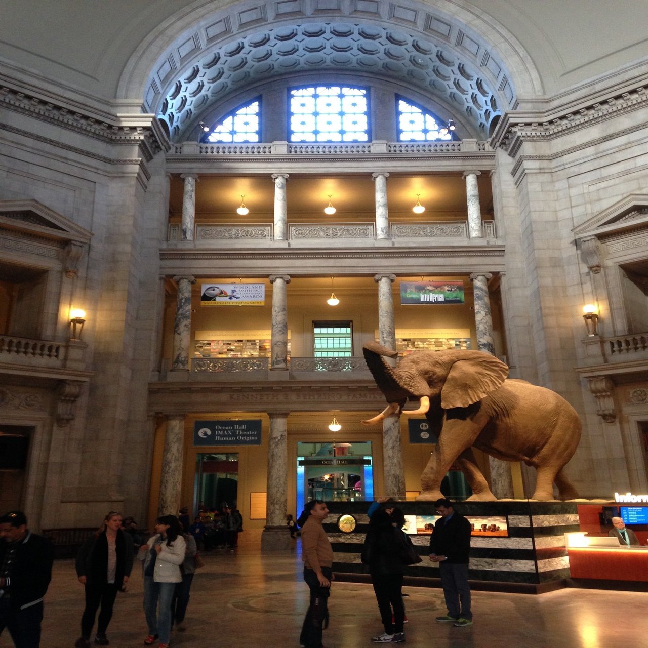 世界の自然史博物館 3 アメリカ国立自然史博物館 国立沖縄自然史博物館設立準備委員会沖縄部会 Note
