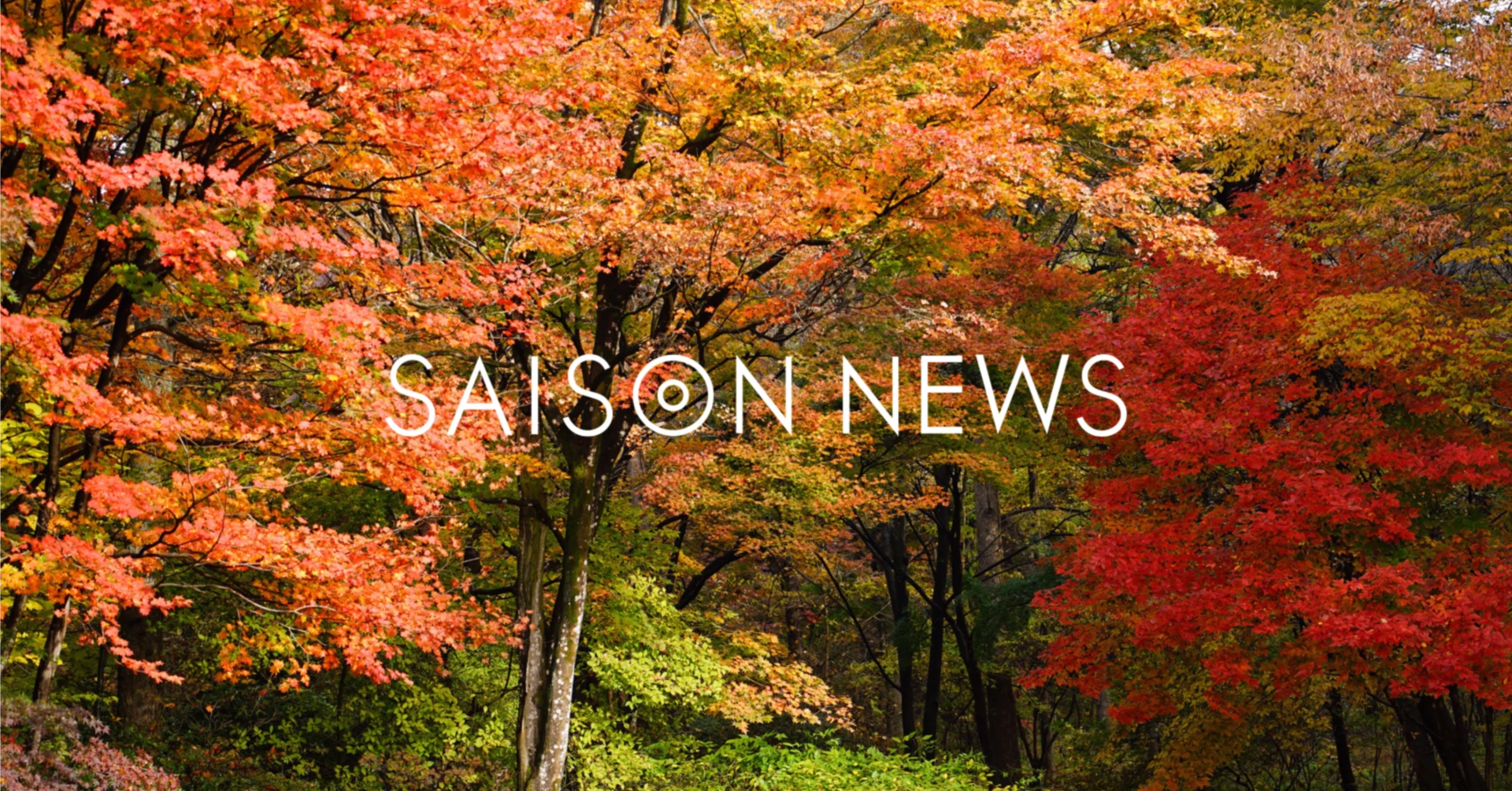 アサギマダラが好む花はなぜフジバカマ？オスを引き寄せる理由と庭への呼び方を徹底解説