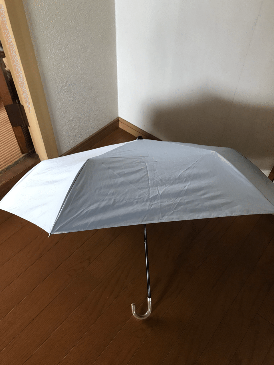 お気に入りの日傘 Kinoko Note