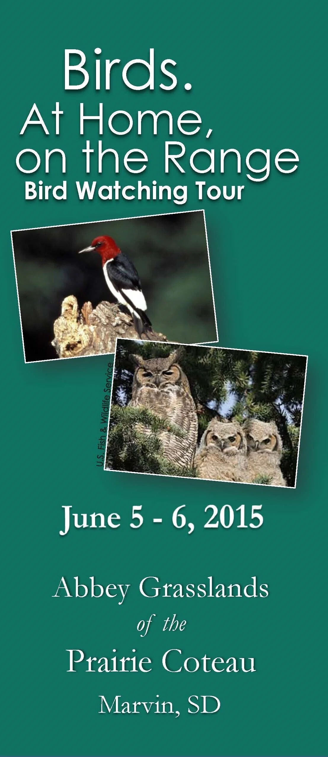 2015 Bird Tour by the SD Grassland Coalition (17289303992)