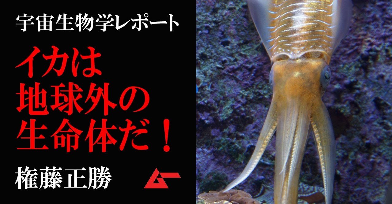 イカは地球外生命体だった 自ら遺伝子を書き換える特異能力と知性の謎 権藤正勝 ムーplus