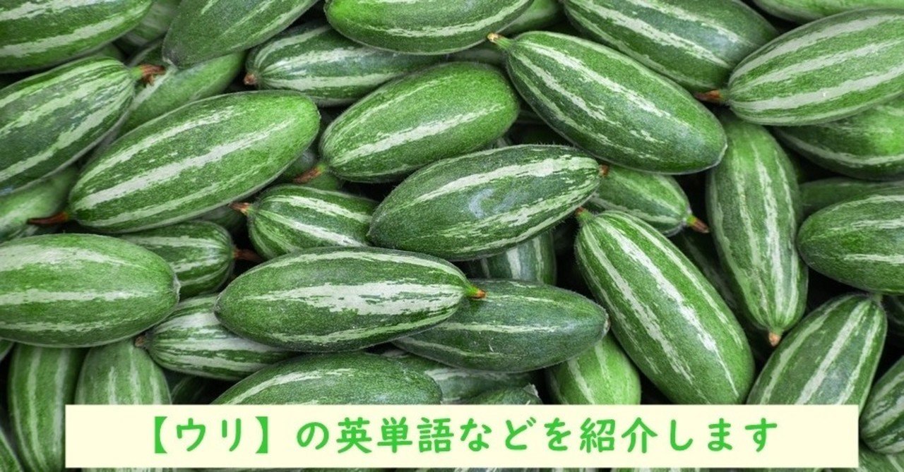 うり の新着タグ記事一覧 Note つくる つながる とどける うり の新着タグ記事一覧 Note つくる つながる とどける
