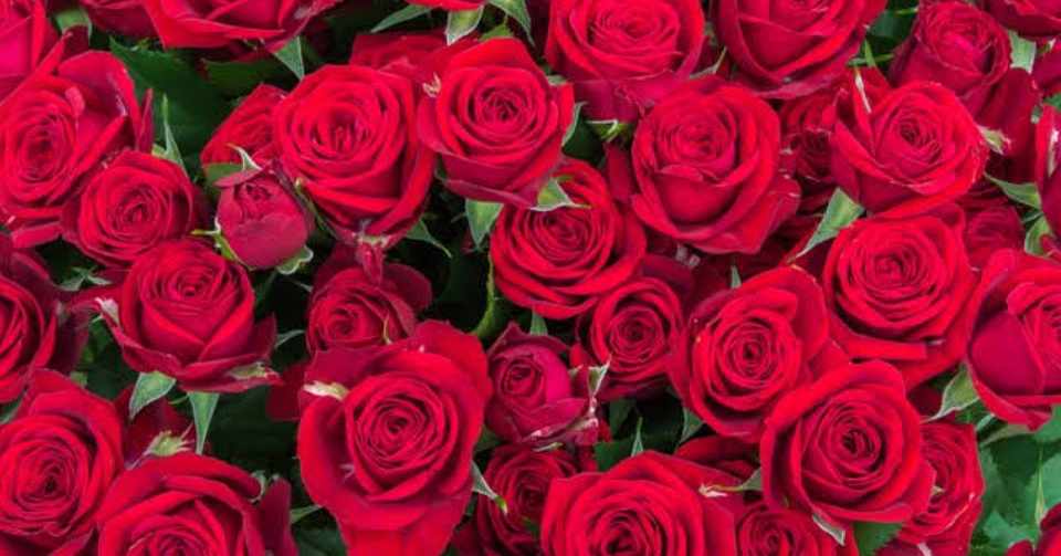 好きじゃない人に処女を捧げた話 きょんす Note