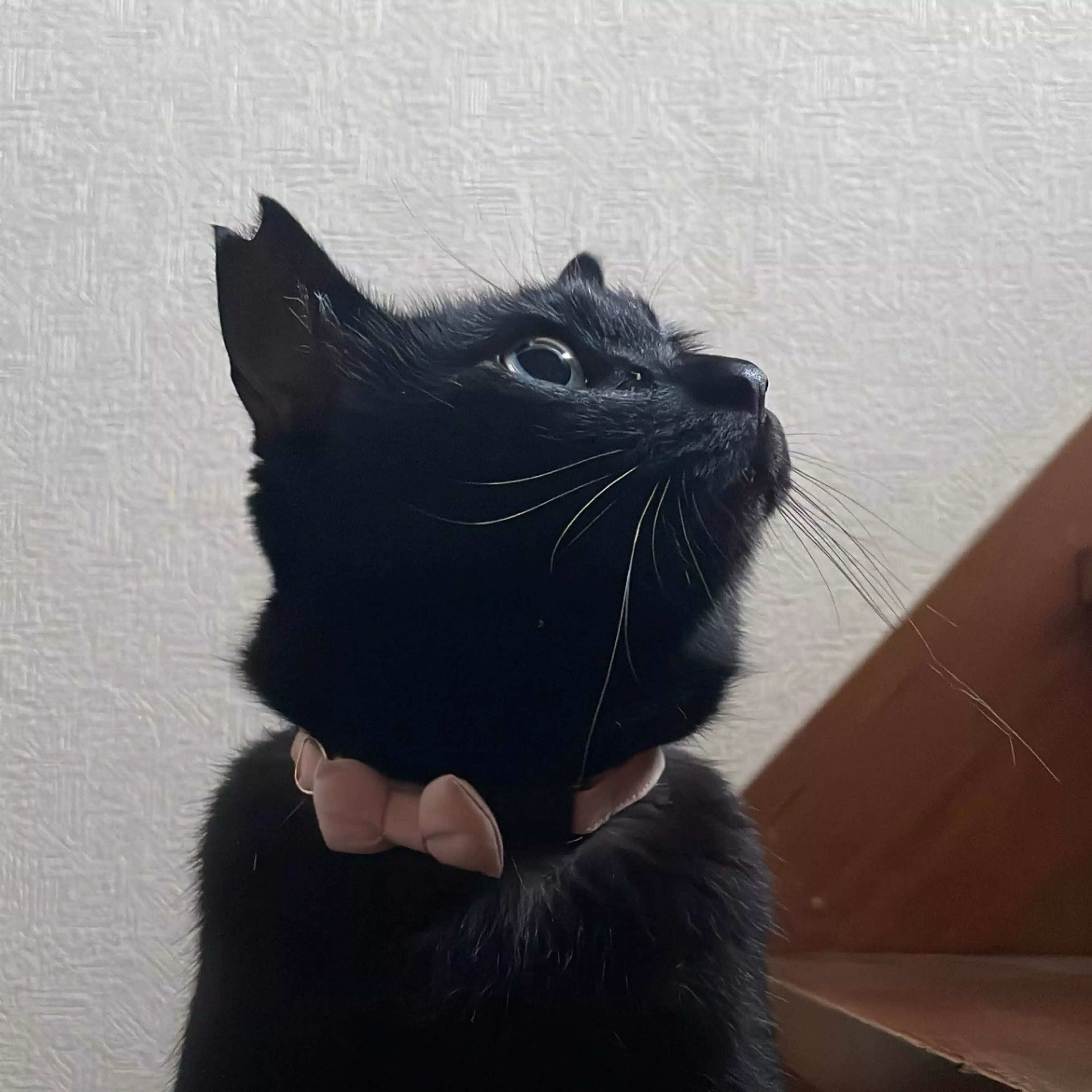 街の明かり