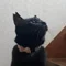 街の明かり