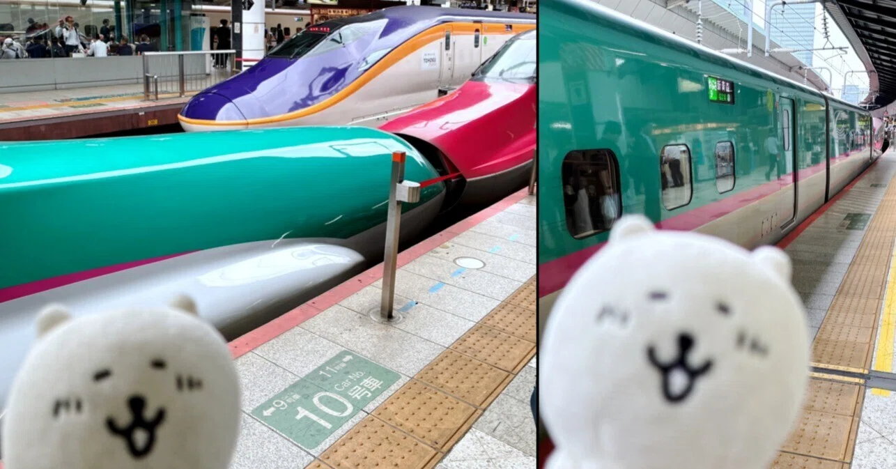 怒涛の「大人の休日倶楽部パス・グリーン車用」編 JR東日本 2026/08/31