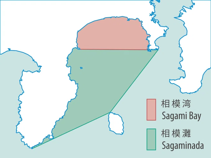 画像11