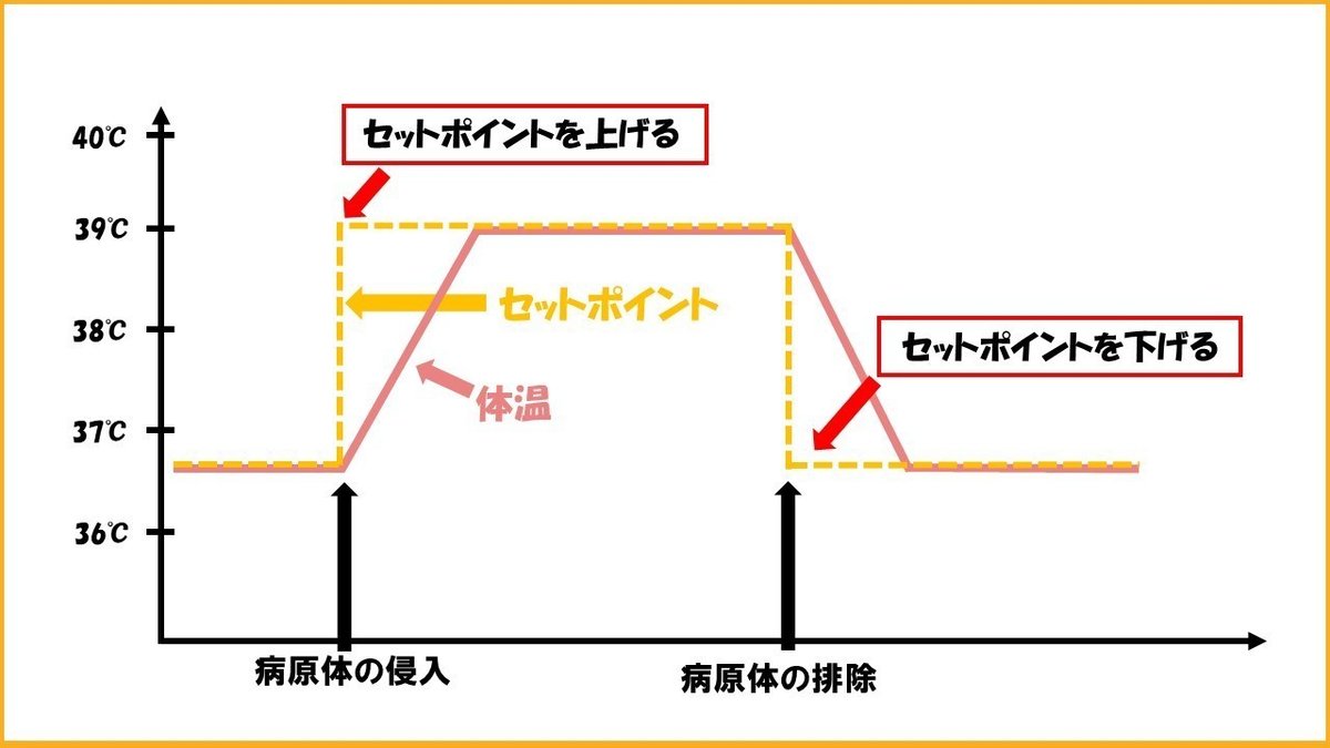 セットポイント