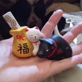🧸ともとも🧸