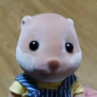 かわうそおばさん日記（旧いぬおばさん）