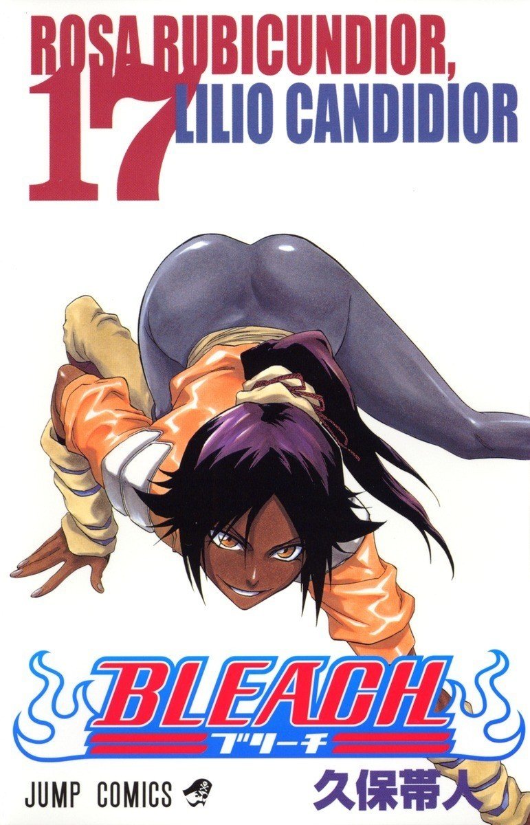 17巻 Bleach 全74巻を毎日振り返る 沢 Note 17巻 Bleach 全74巻を毎日振り返る 沢 Note