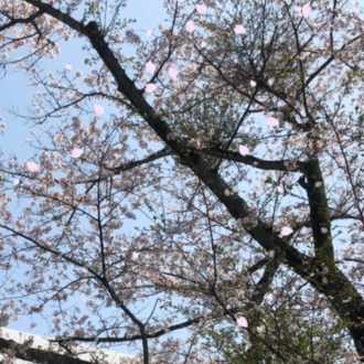 男友達と好きな男の人の違いってなんだろう どっちも好きなんだけど Monono Note