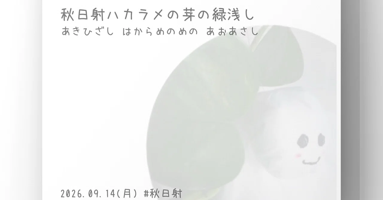 見出し画像