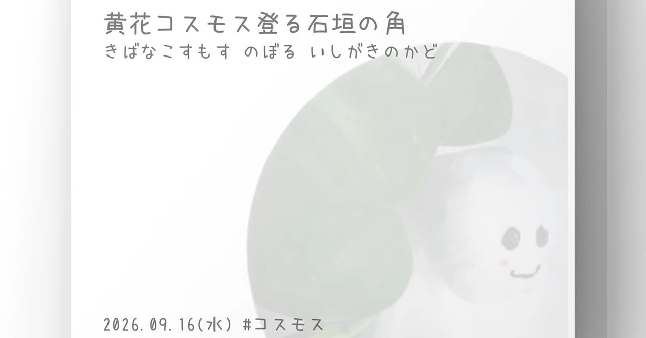 見出し画像