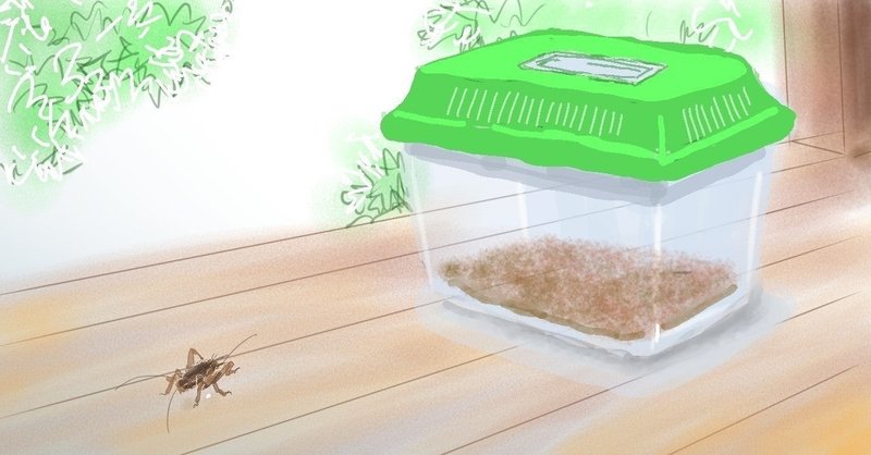 かずのこふぁーむでのコオロギ他 餌昆虫たちの管理と自家繁殖について Kazunoko Farm Note