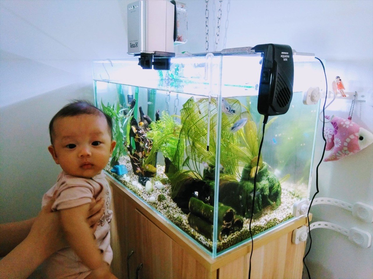 生後4ヶ月と12日のちょび丸 すぴー Note 生後4ヶ月と12日のちょび丸 すぴー Note