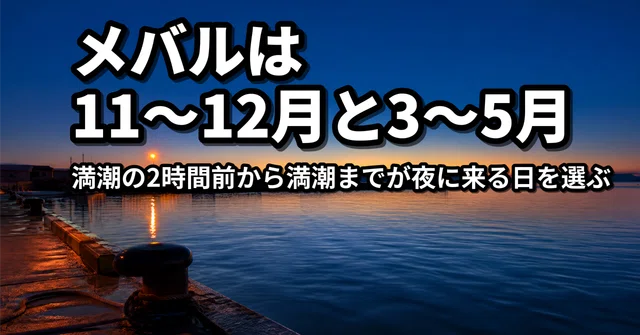 メバリングの時期｜11〜12月と3〜5月に行き、満潮が夜に来る日を選ぶ