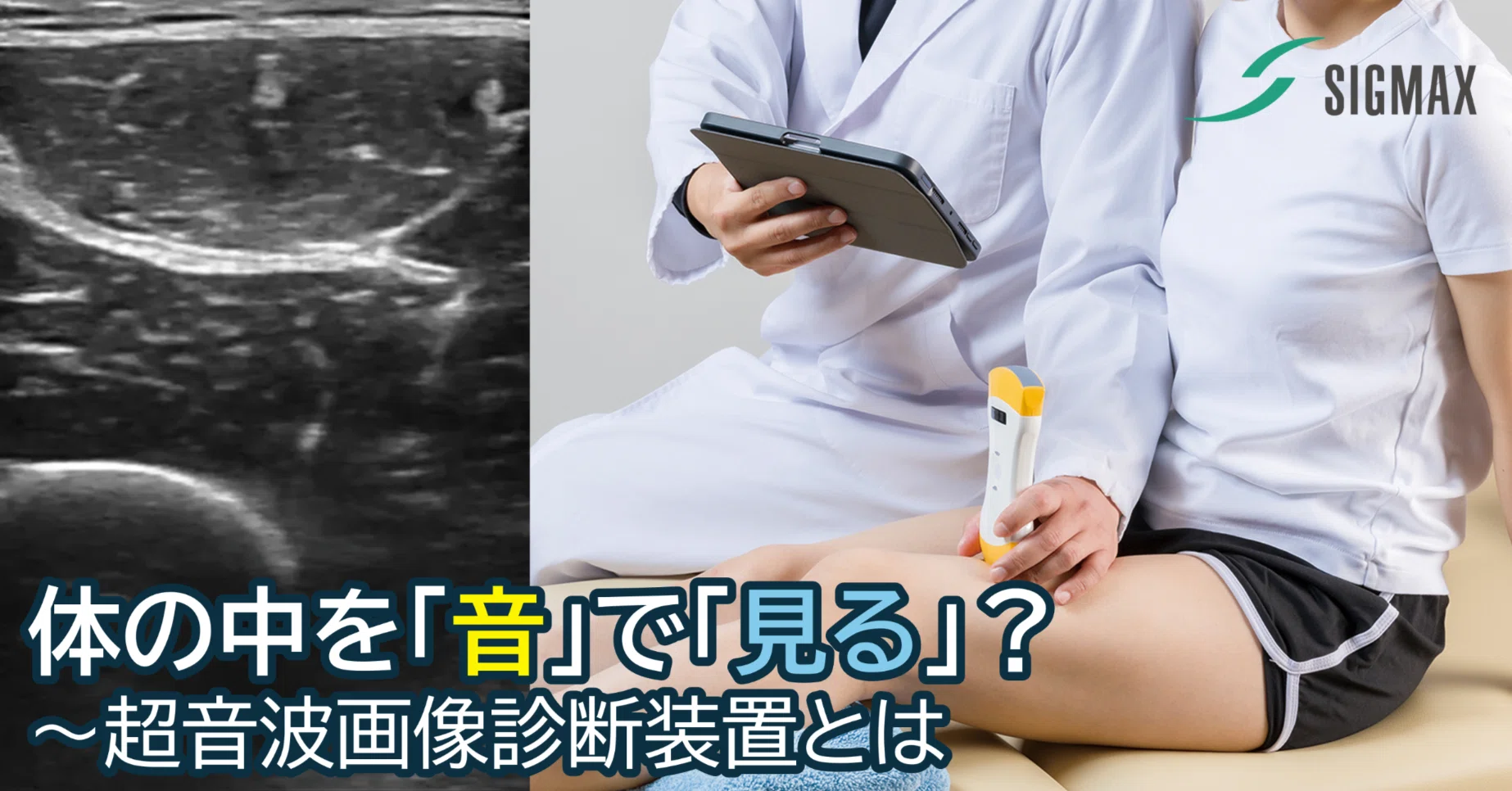 体の中を「音」で「見る」？ 超音波画像診断装置（エコー）とは