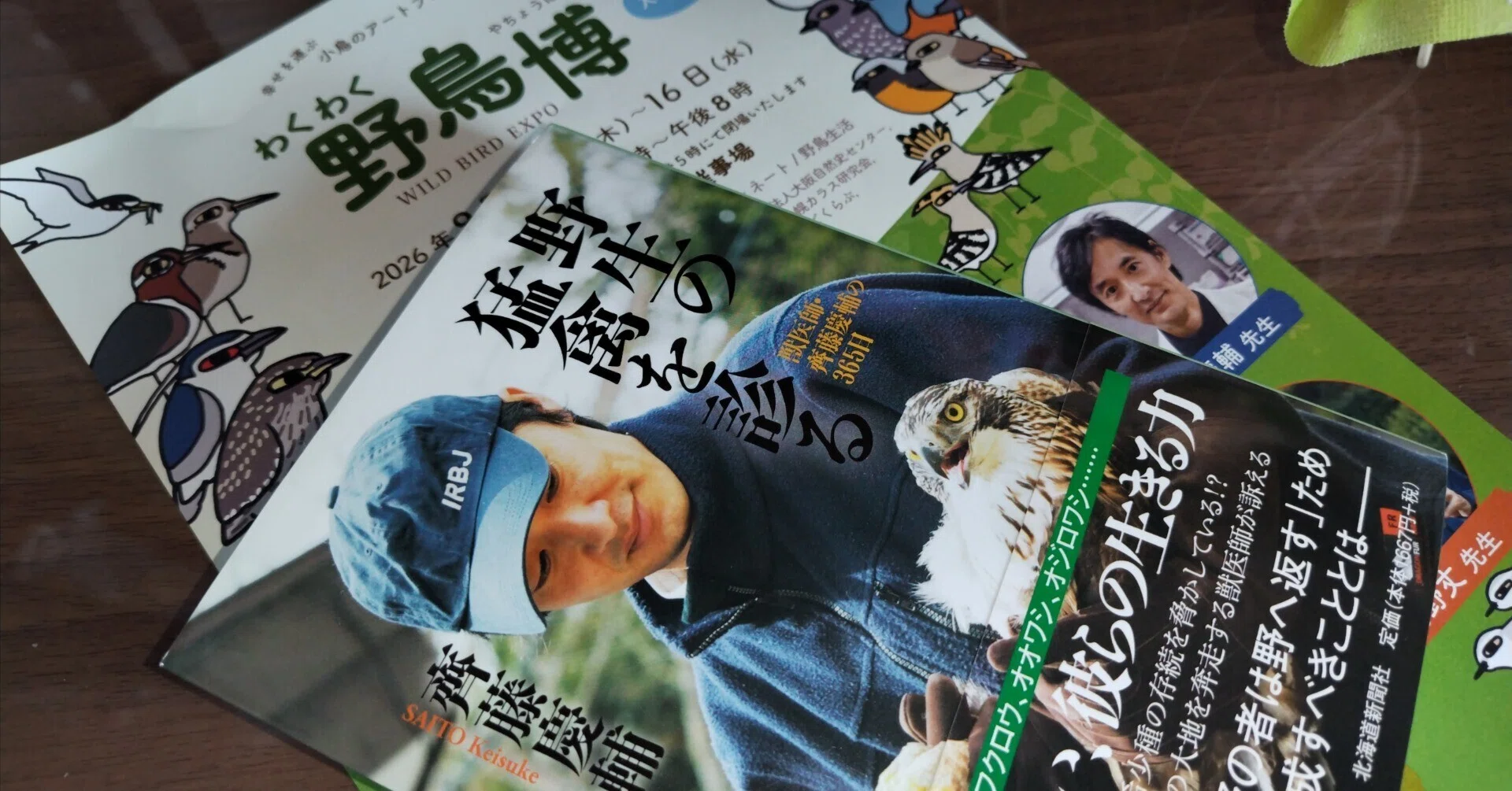 わくわく野鳥博 ミニ講座「北の大地の猛禽類救護レポート」レポ① 2026