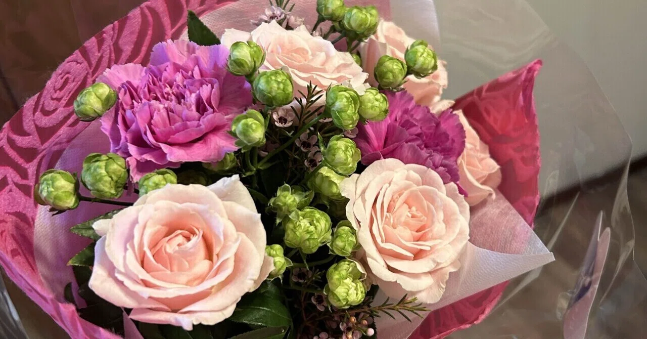 Breast Cancer Surgery Discharge - Reflections on a 9-Day Hospital Stay｜ルッコラ