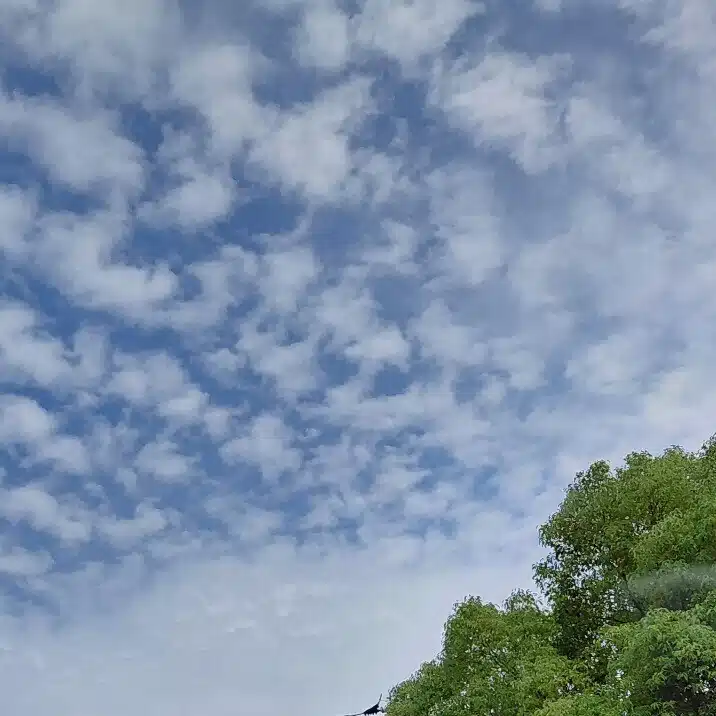 雲子