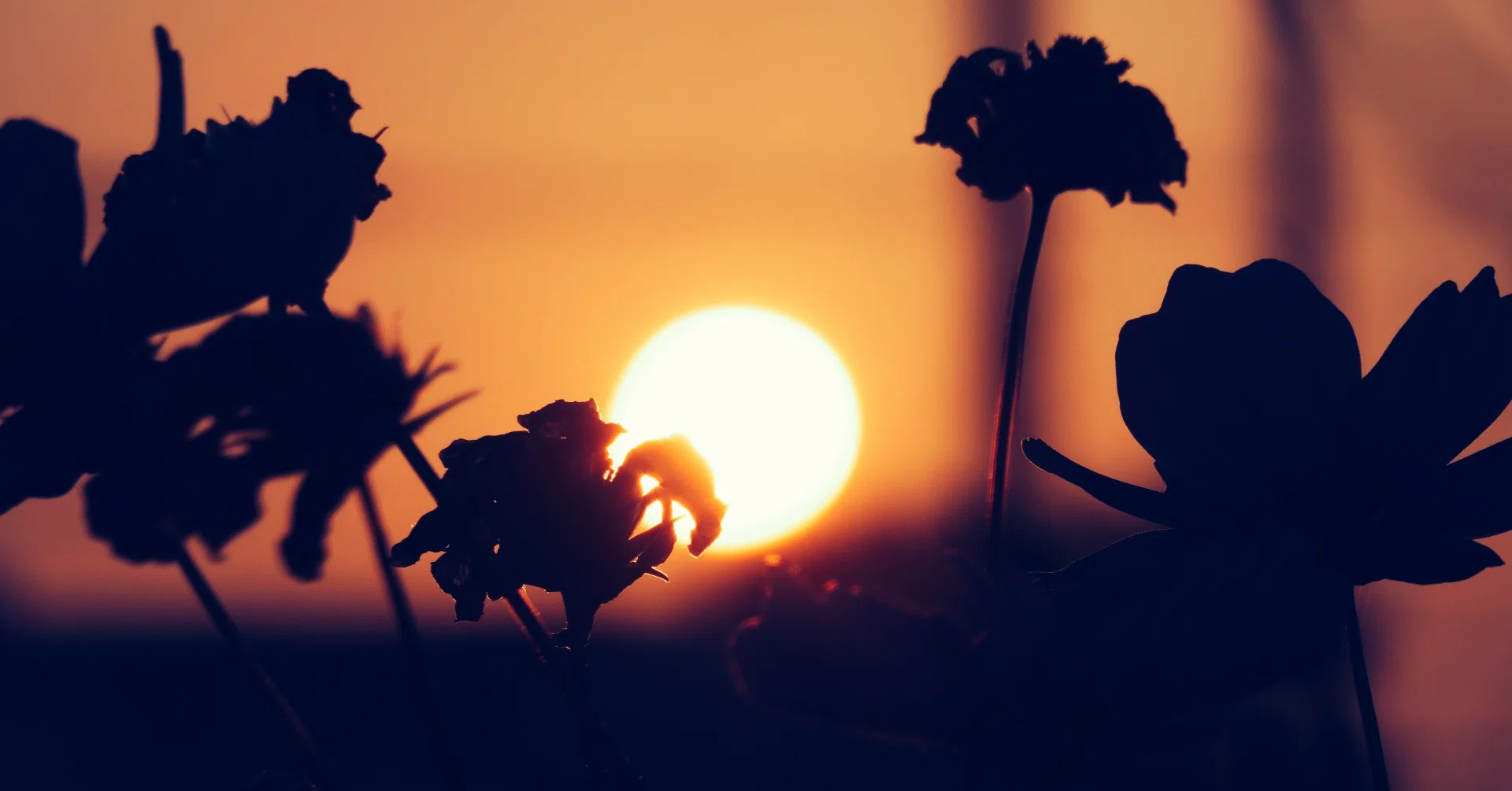 秋の夕暮れ 秋の夕暮れ｜ふわりっち