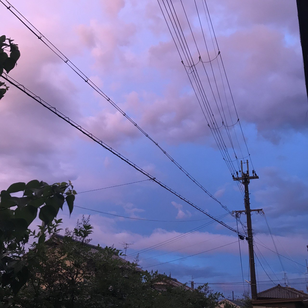 Aloha 夕方の空 なーんか好きな色だったので パシャリ Mahalo ハワイは故郷 しずく ライフカウンセラー ドラマー シングル育児ママ Note