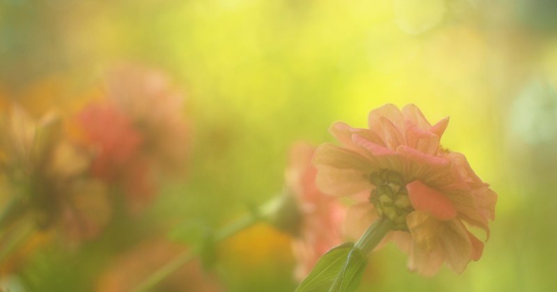 子ども扱いする母はうざいけど それは幸せなことなんだ Kohei Note