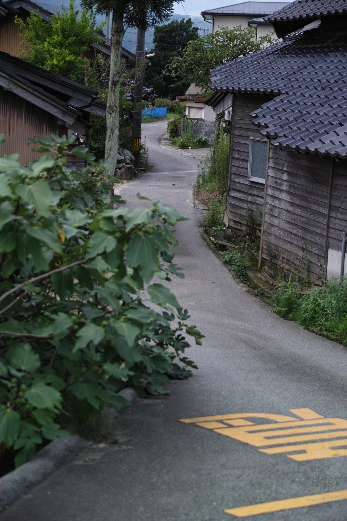 画像9
