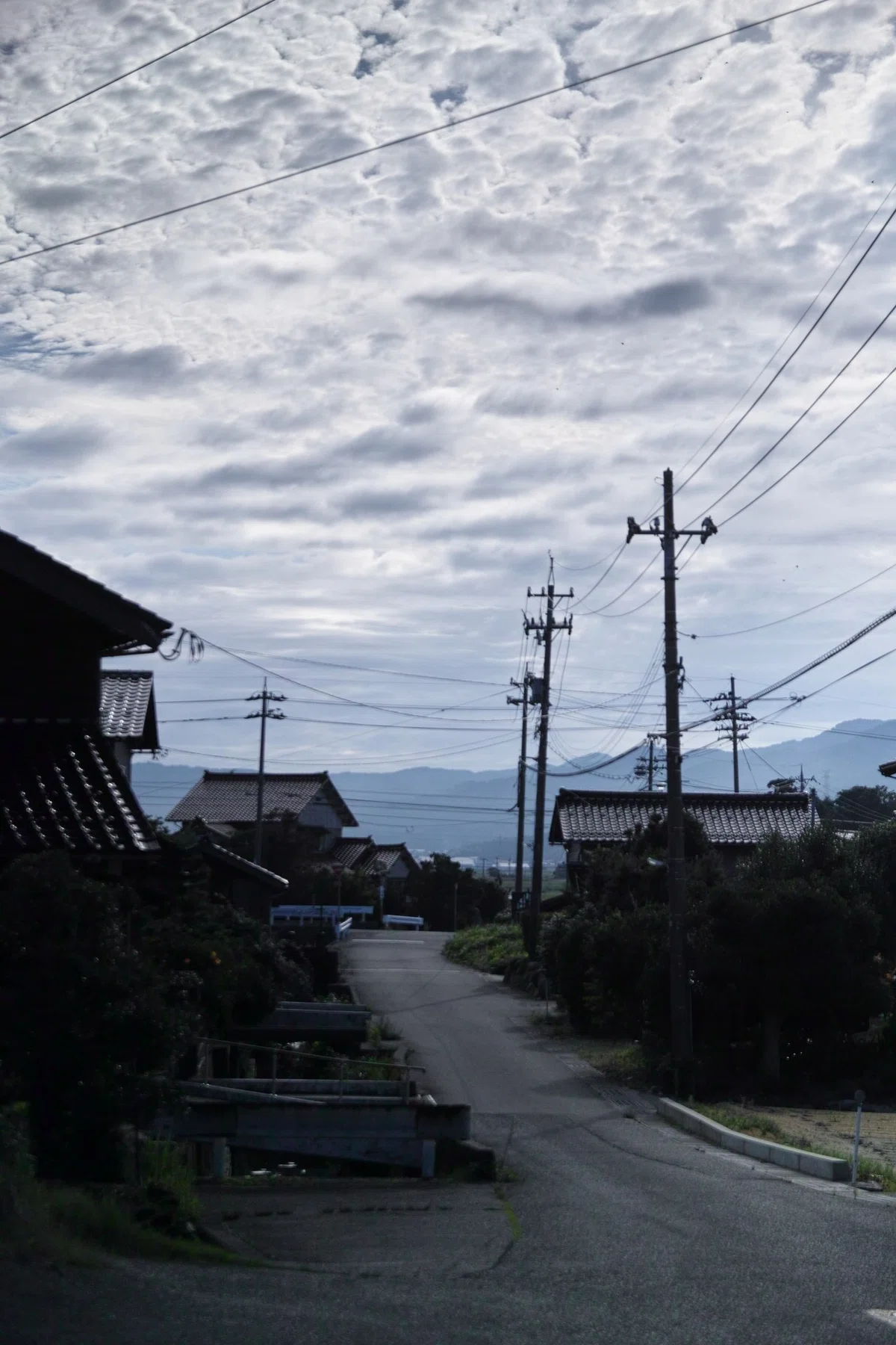 画像26