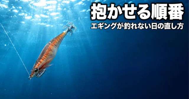 抱かせる順番｜エギングが釣れない日の直し方