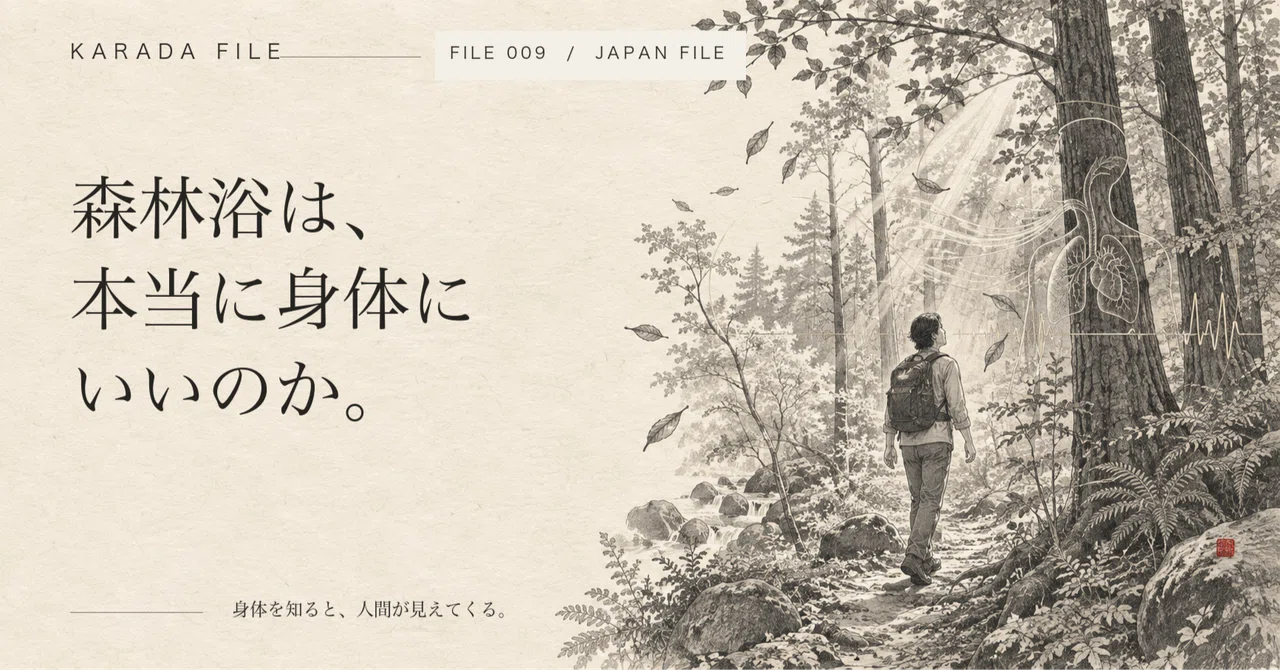 Is forest bathing really good for your health?｜KARADA FILE