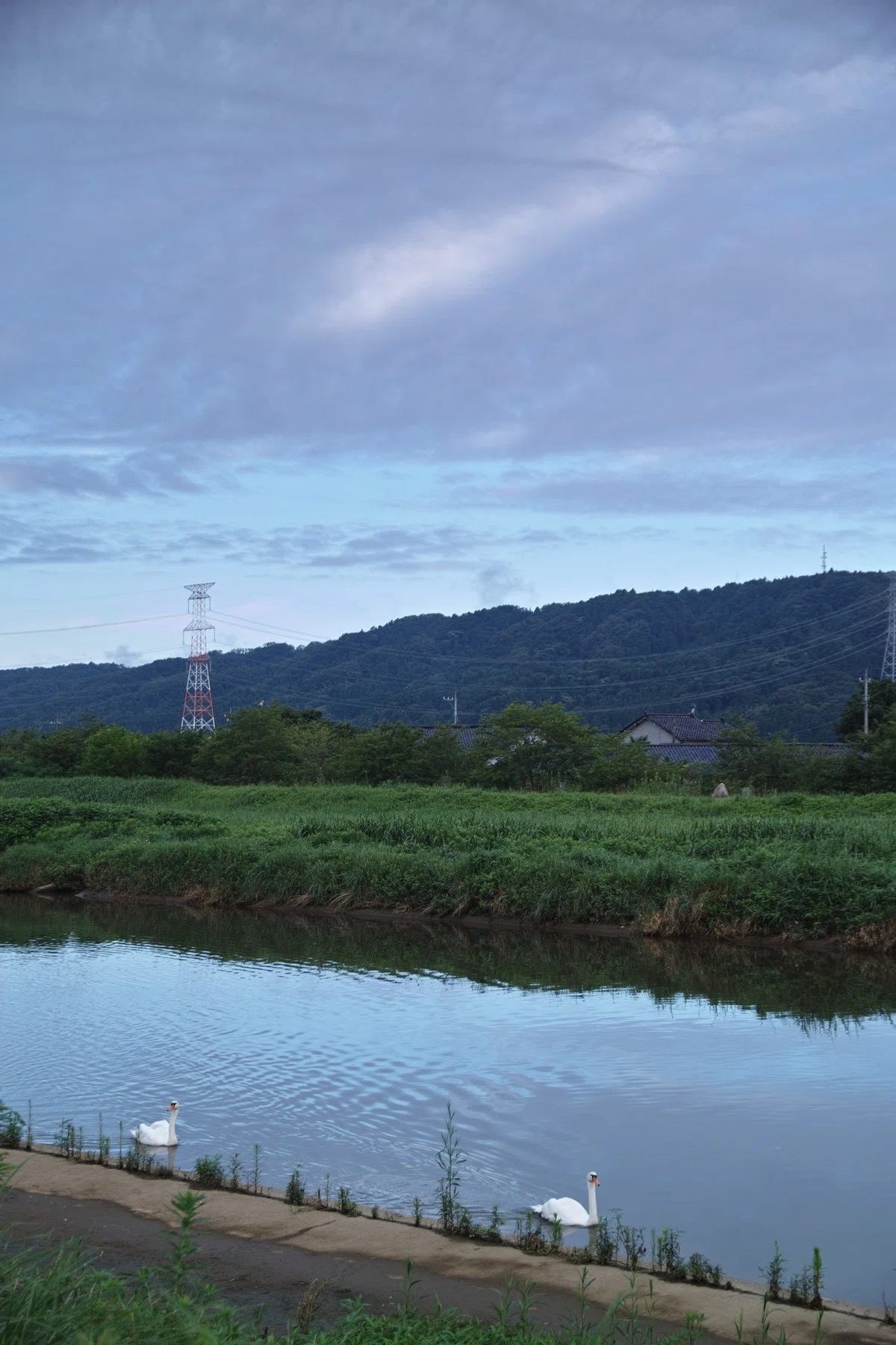 画像28